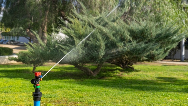 Above ground sprinkler watering grass and bush